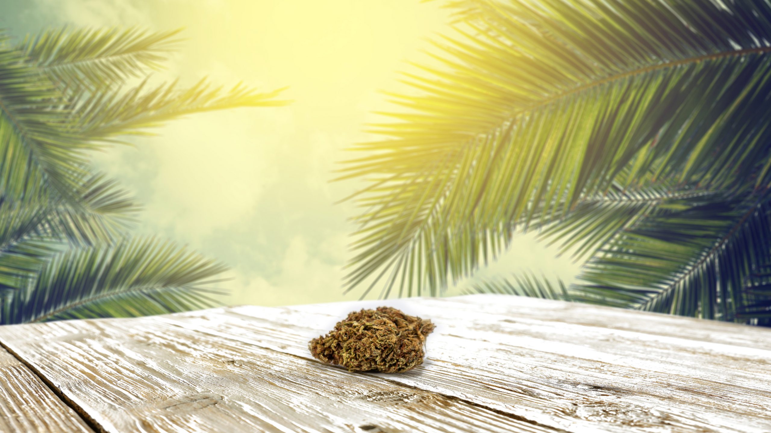 Big Dreams Kush CBD flower