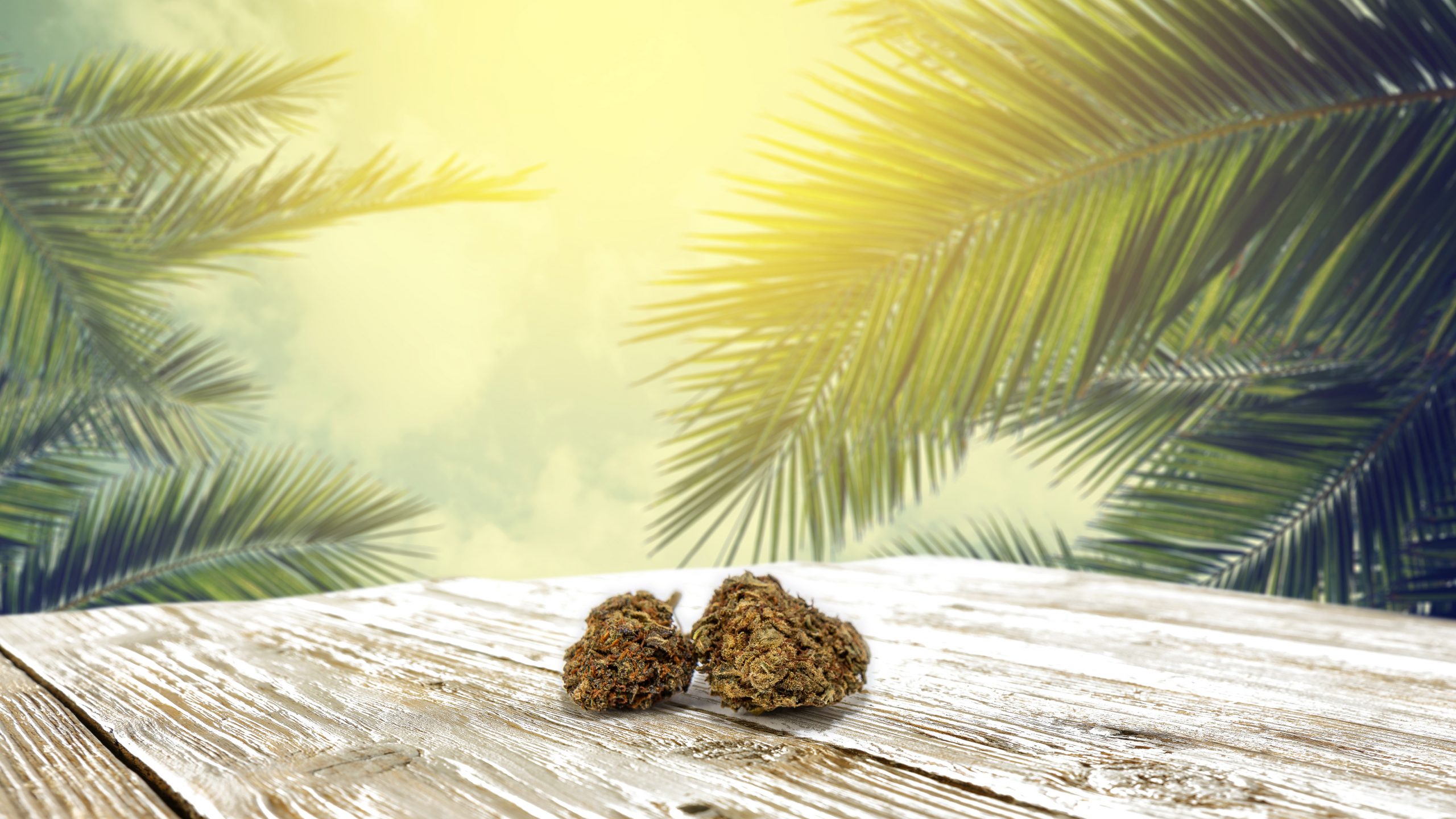 Skarra Diesel CBD Flower